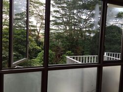 The Skywoods (D23), Condominium #579042431